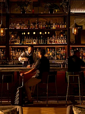 A warmly lit bar with a bartender mixing a drink, two patrons seated at the counter, shelves of bottles in the background, cozy ambiance.
